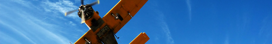 alfonsocortes.es Rotating Header Image