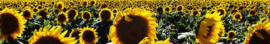 alfonsocortes.es Rotating Header Image